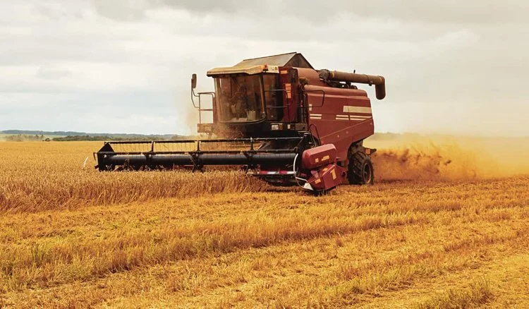 West-Central Saskatchewan farmers see strong yields despite early season dry spell