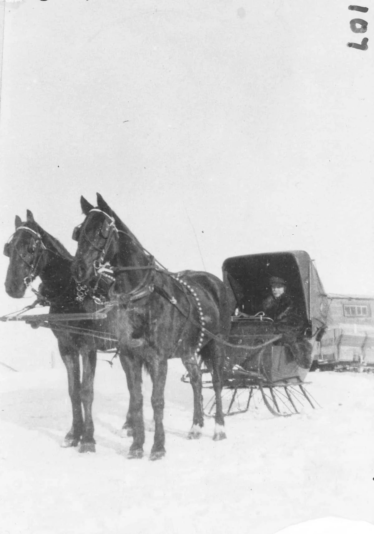 Remembering When: Team of Horses