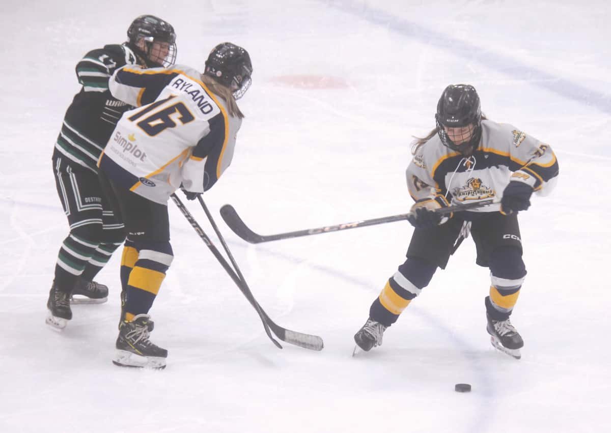 U-18 Western Prairie Redwings Girls Hockey