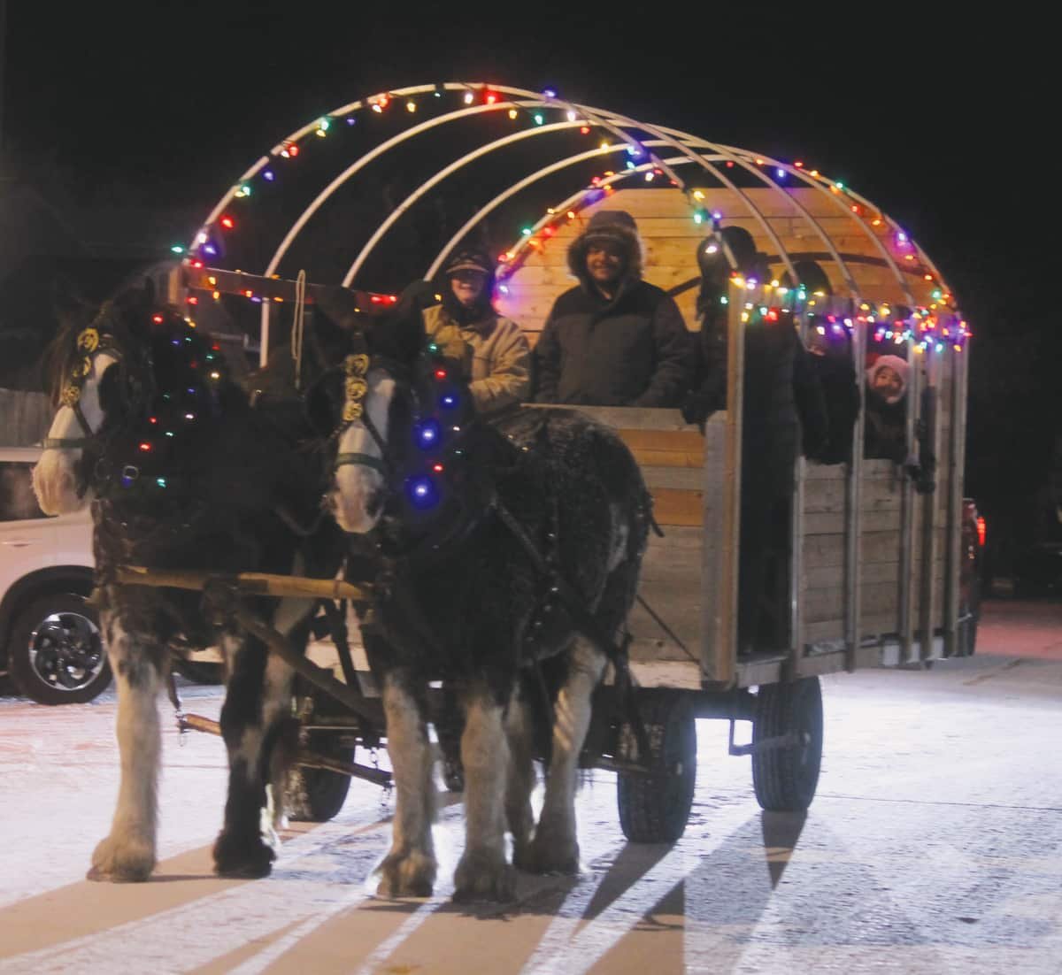 Black Friday Wagon Rides