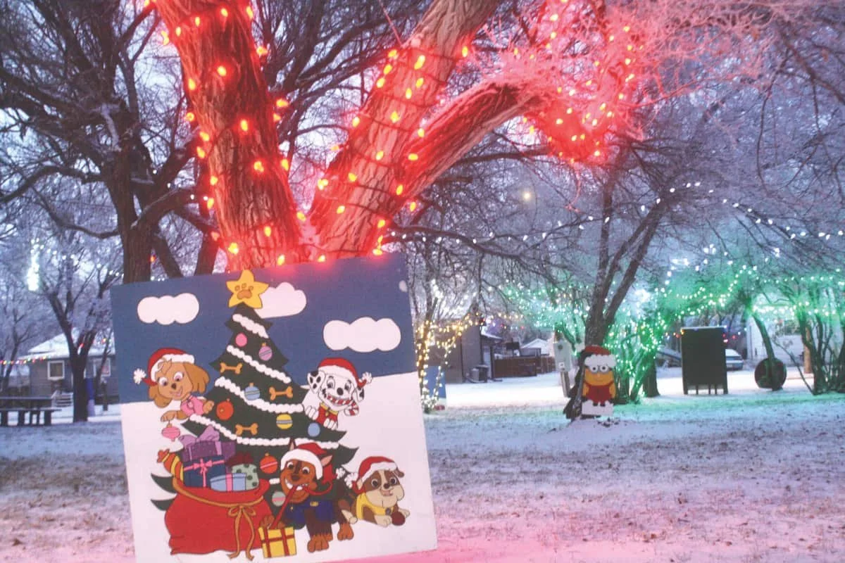Winter Wonderland in Lovett Park