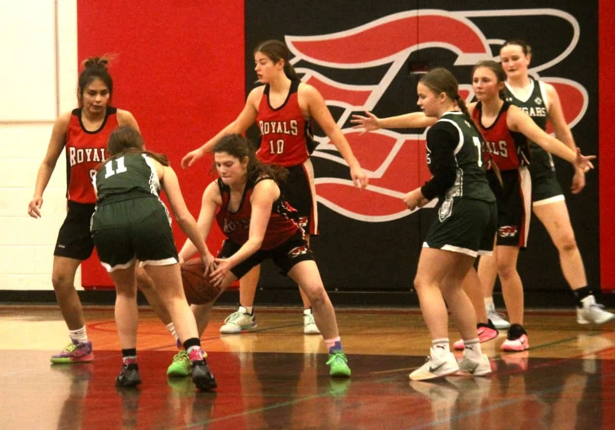 Basketball: Cougars defeat Rosetown Royals