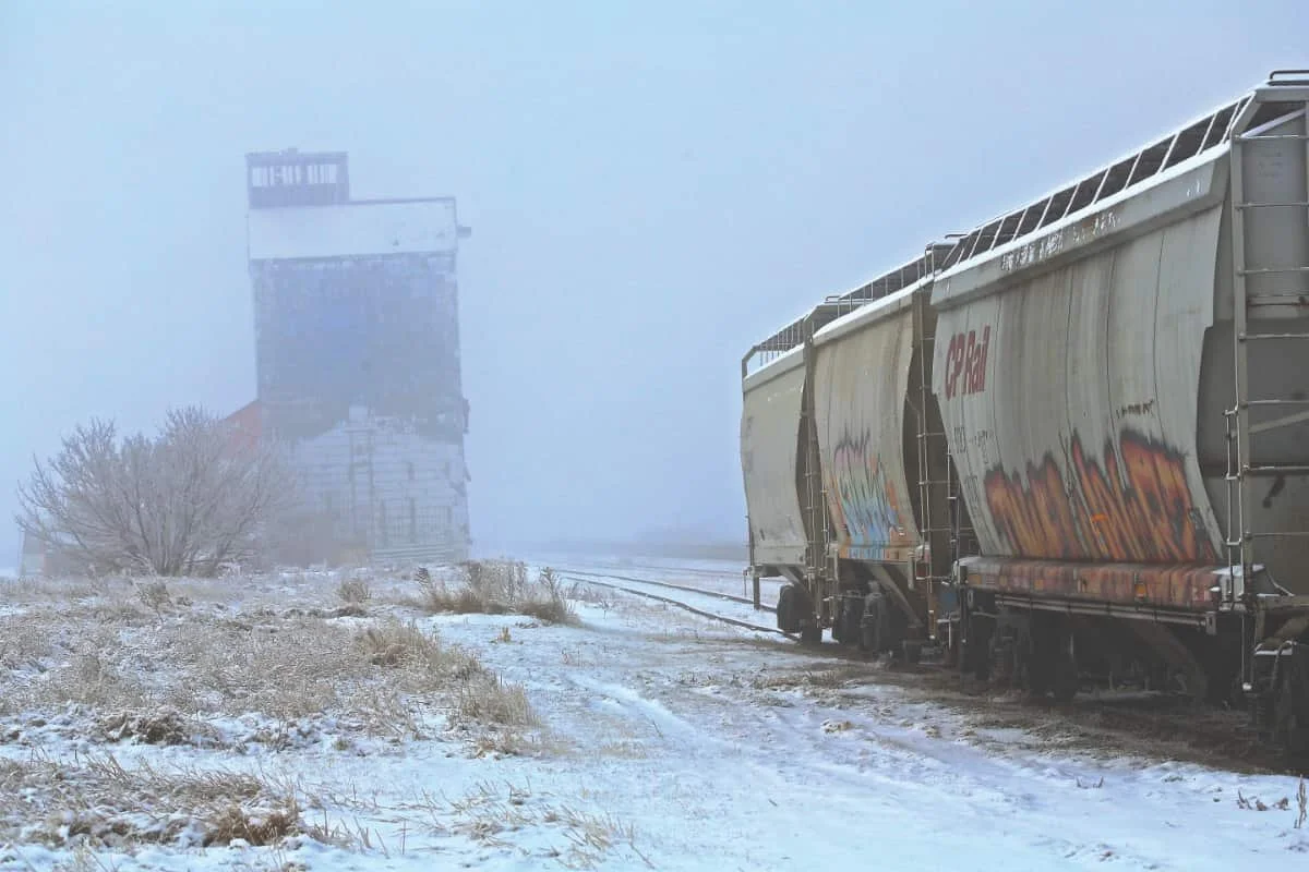 Photo of the Week: Foggy Morning