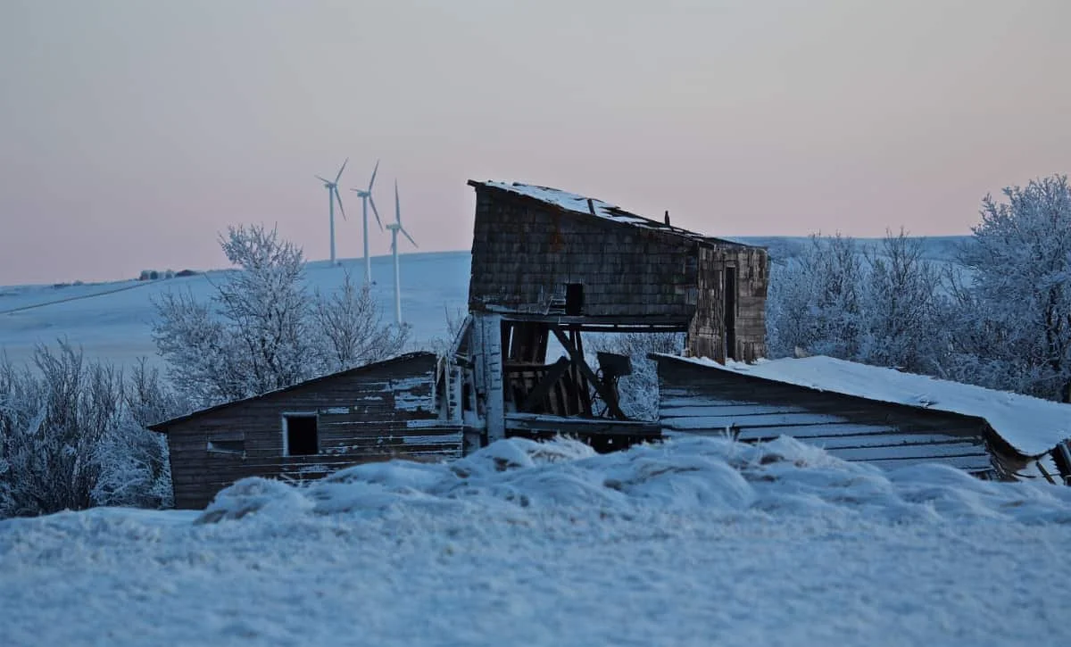 Photo of the Week: Old Bones, New Wind