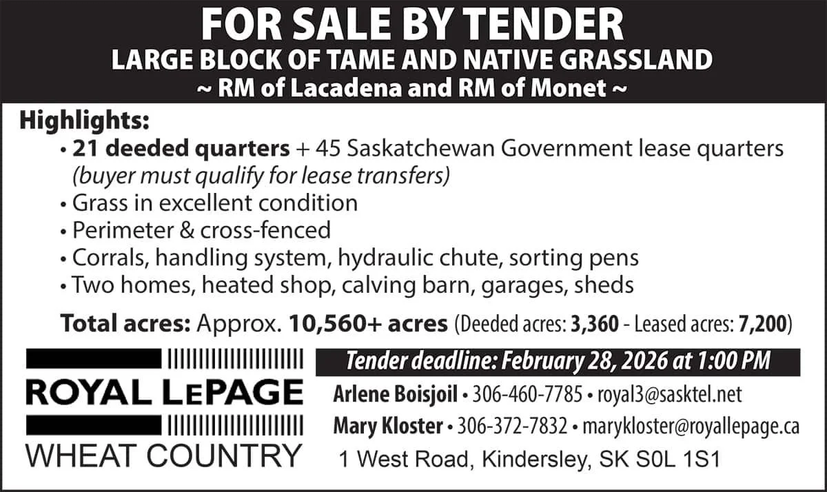 FOR SALE BY TENDER Large Block of Tame and Native Grassland RM of Lacadena and RM of Monet