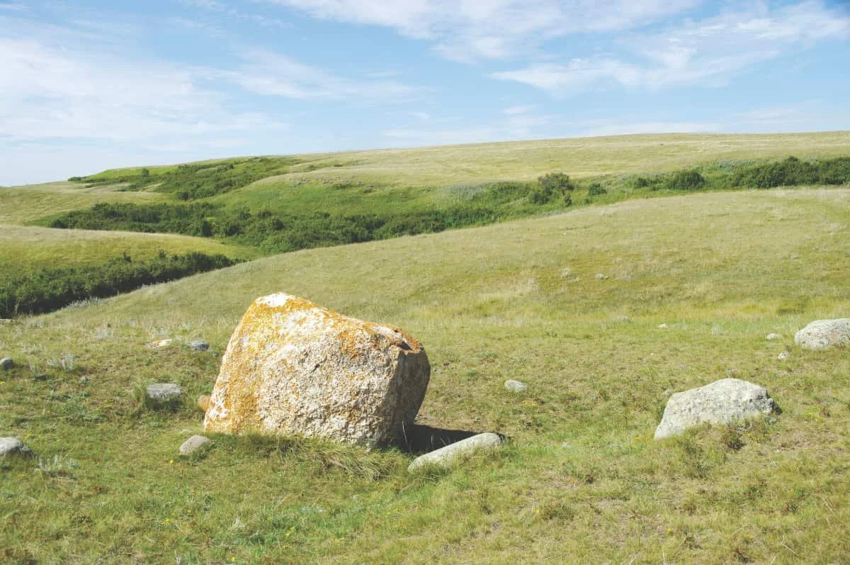 Photo of the Week: Bison Rubbing Stone
