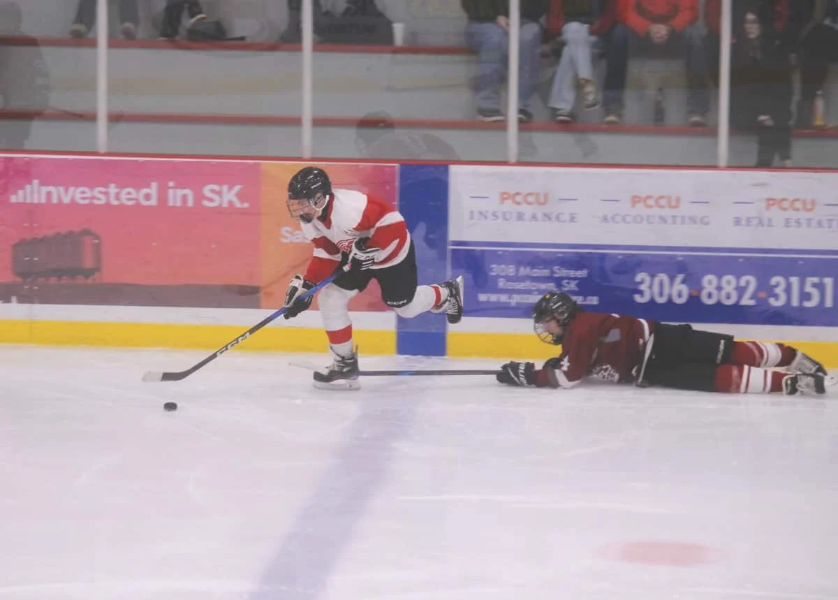 Provincial Hockey Playoffs: Redwings won 5-3