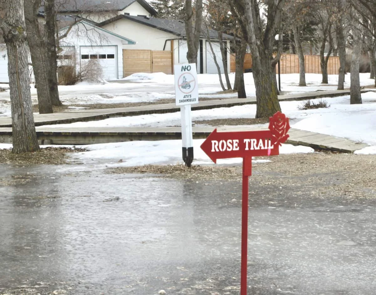 Downtown banner project gets council approval