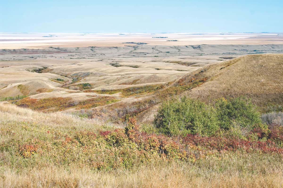 Photo of the Week: Eagle Creek Valley