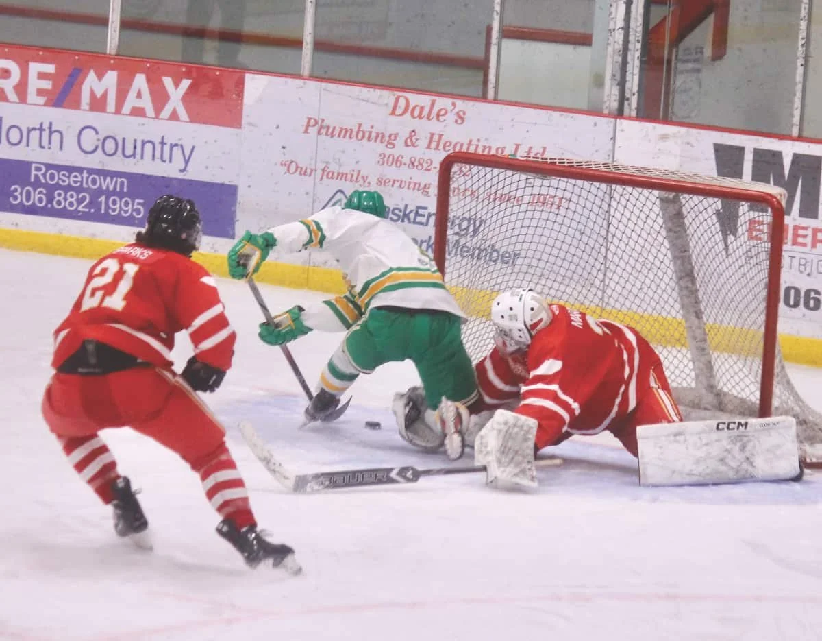 Redwings defeated the Stars 4-3 in OT