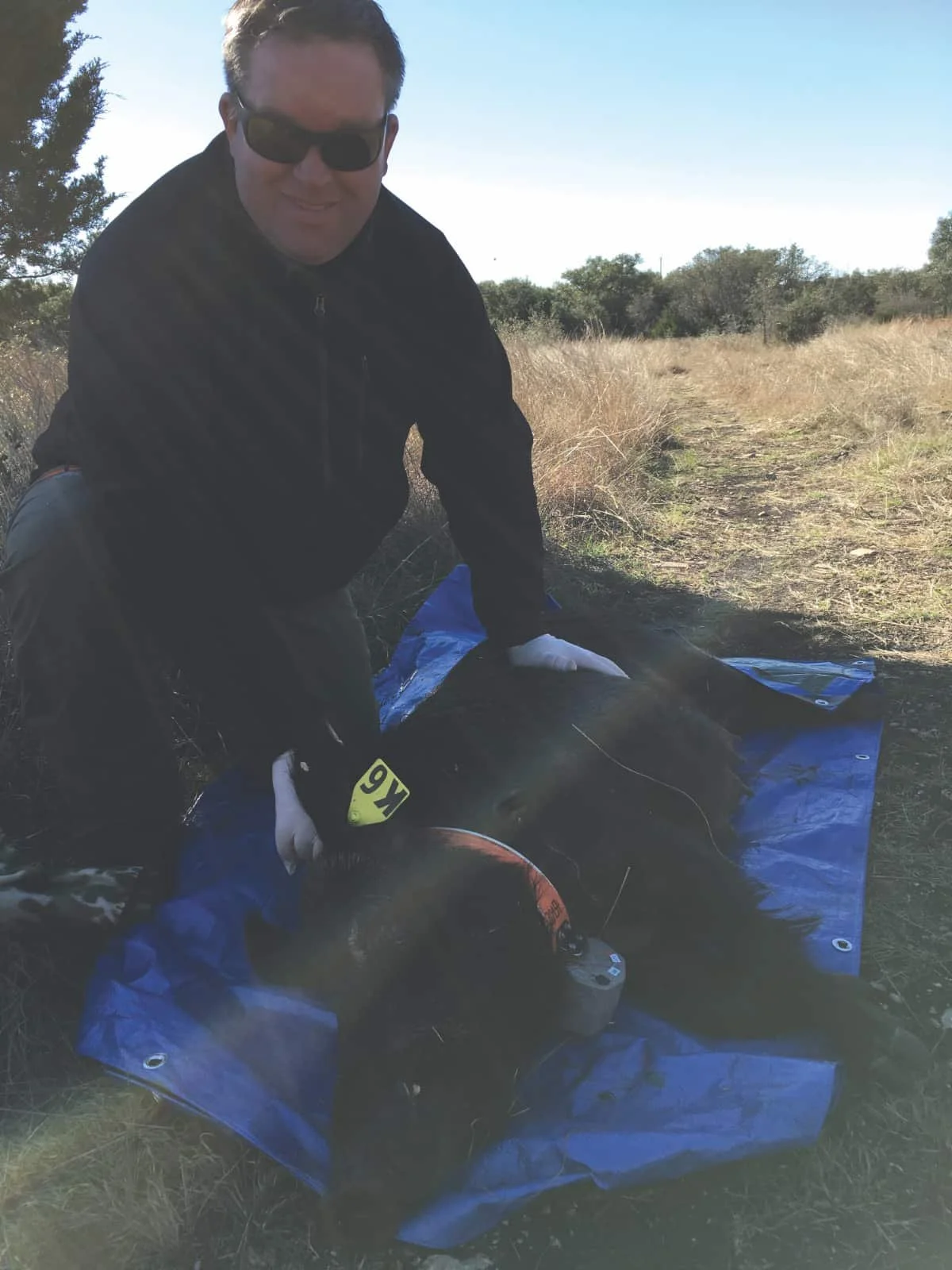 AG OPINION: On shooting messengers and wild pigs