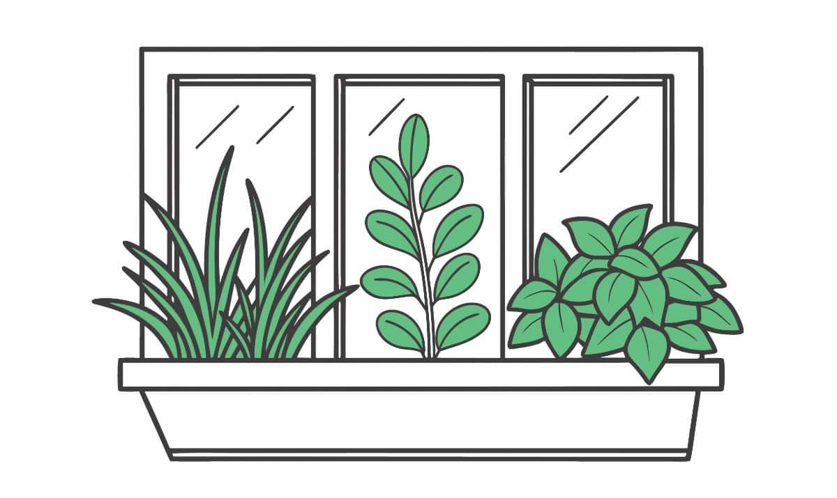 McNab Place News: Garden Plants