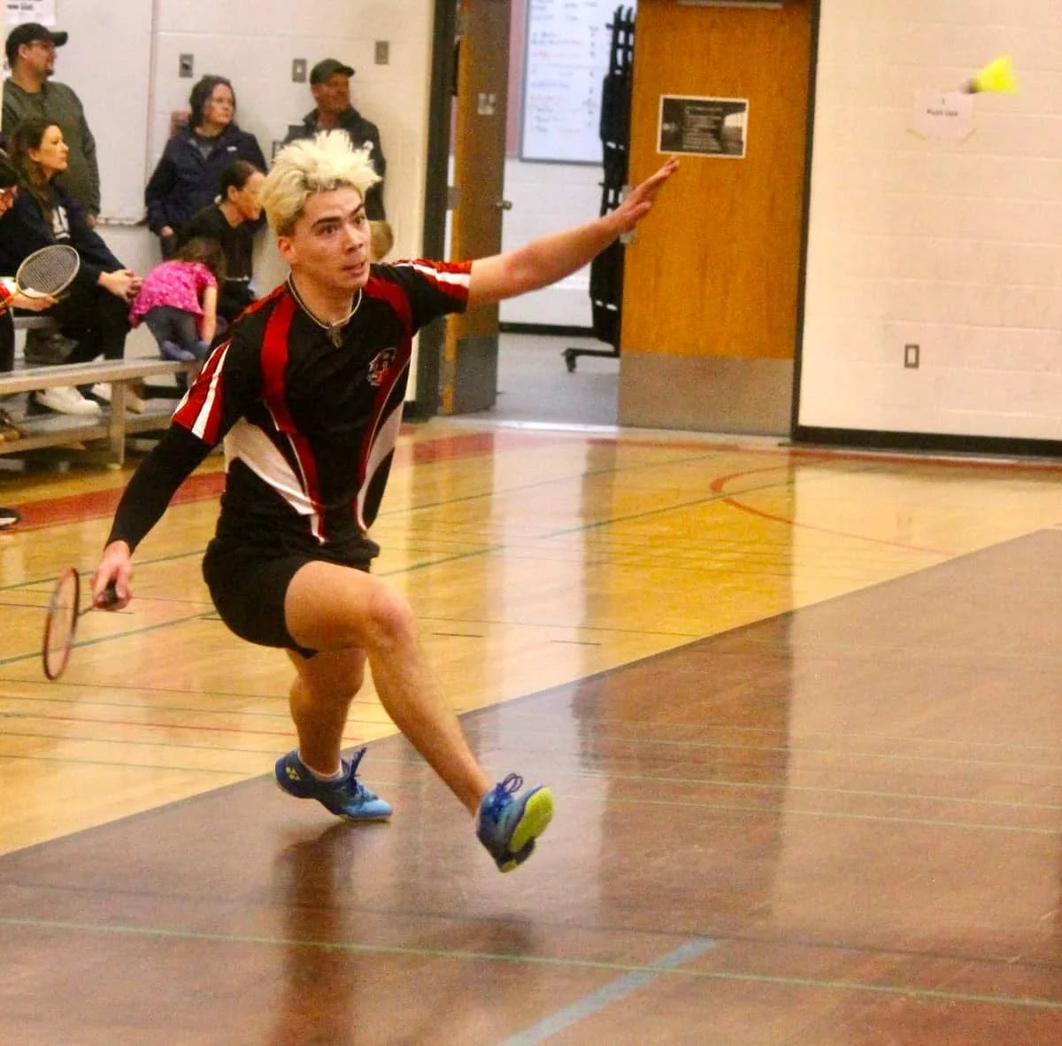 Senior badminton sectional playoffs