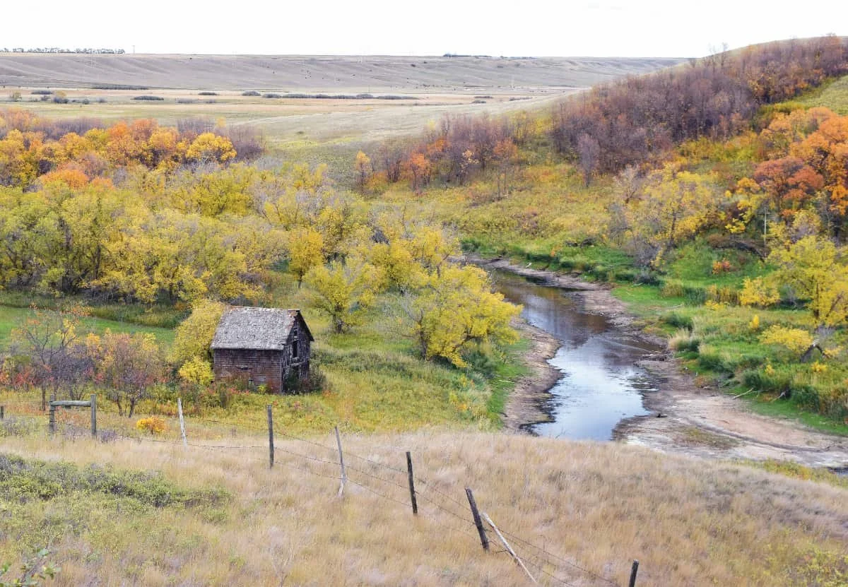 Photo of the Week: Fall Scene