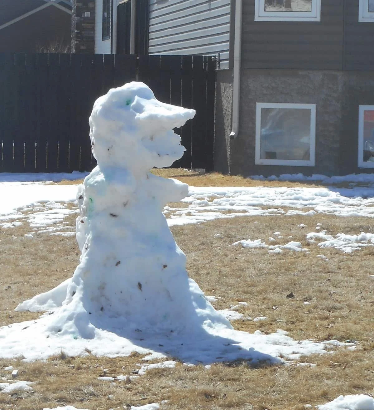 Snow creature