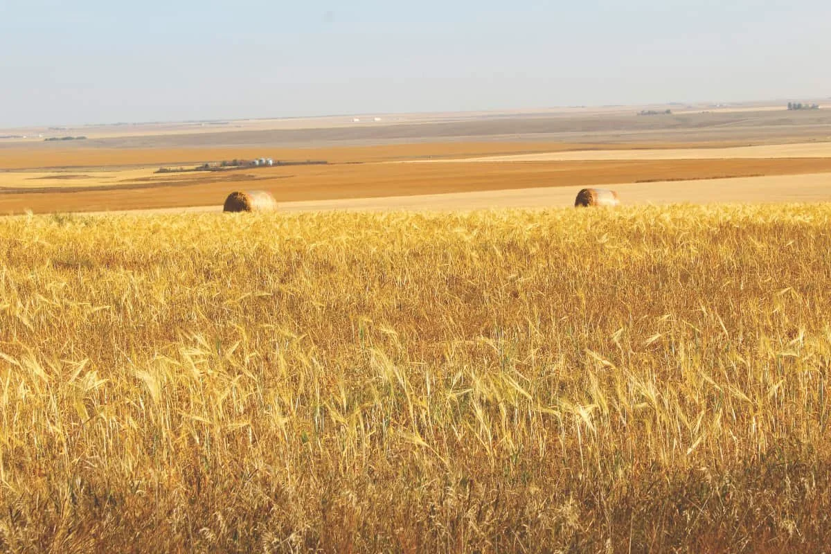 PHOTO OF THE WEEK: As Far As The Eye Can See