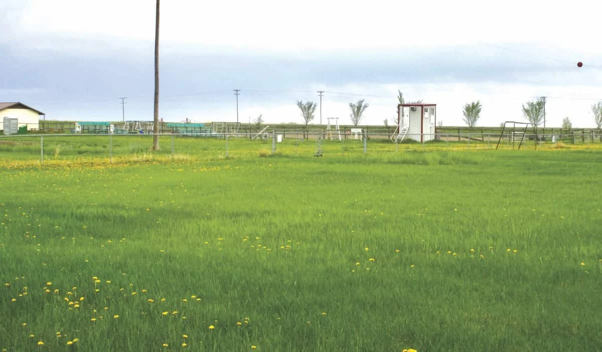 Council weighs soccer pitch for rodeo trailer parking