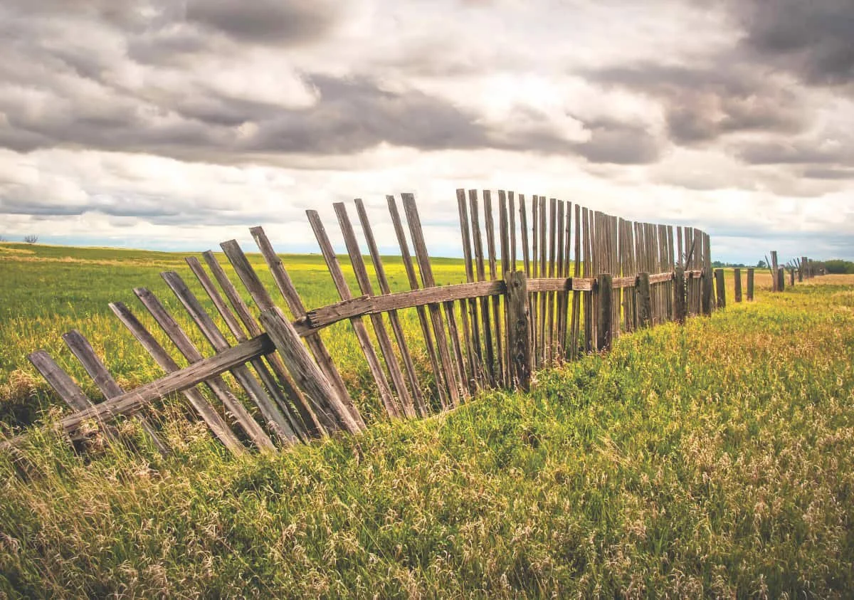 Photo of the Week: Snow Fence Remnant