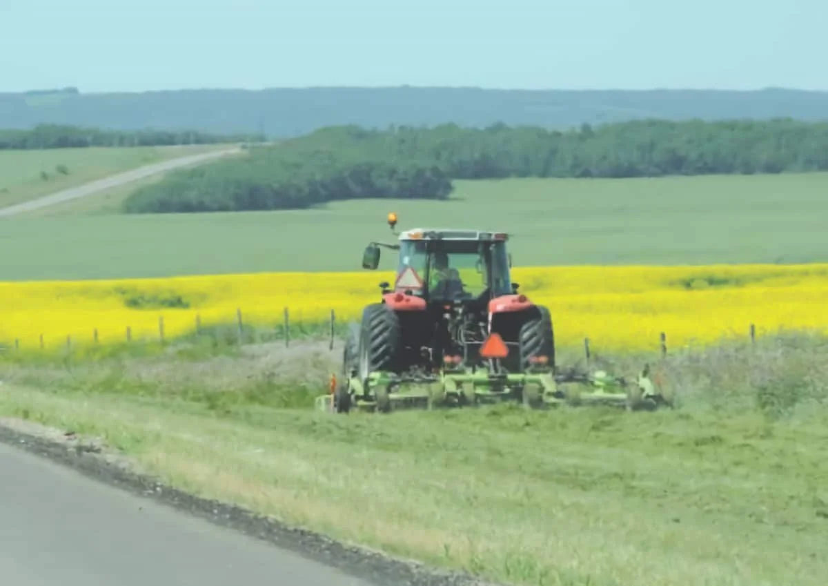 Highway ditch haying season opens for adjacent landowners
