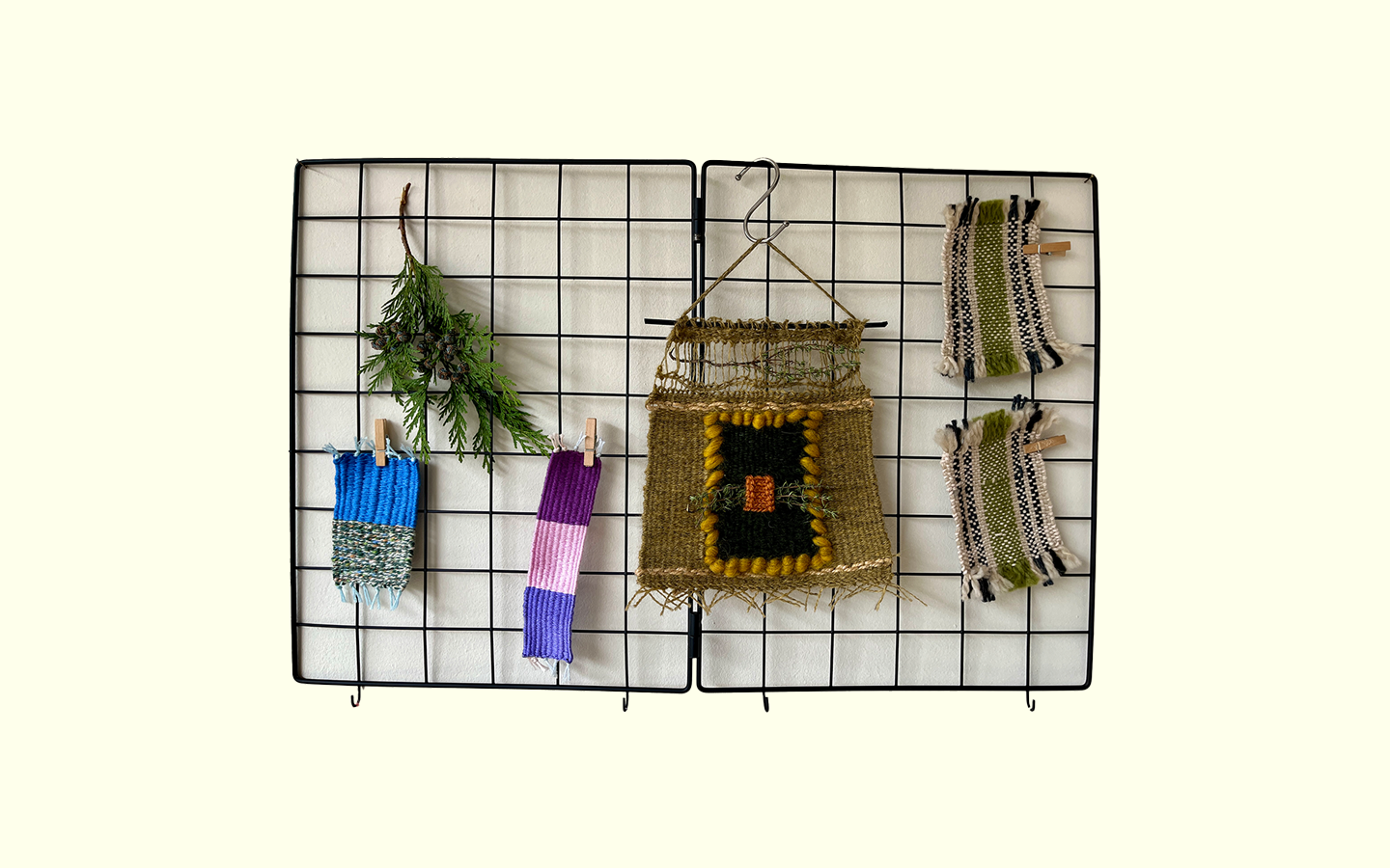 thyme on the frame.png