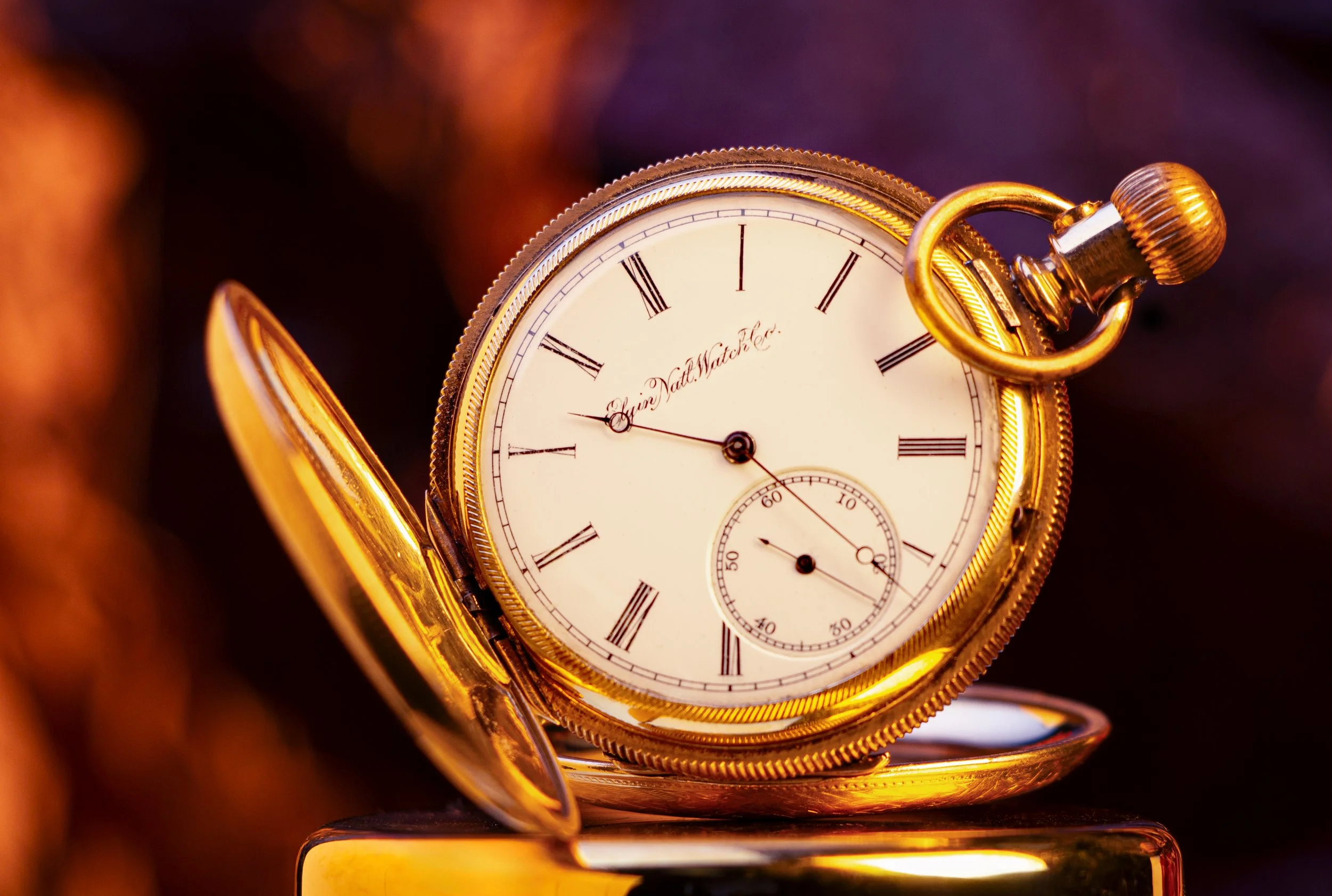 ElyinNationalWatchCompany copy.jpg
