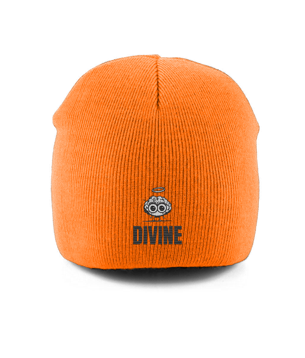 You're Divine Beanie