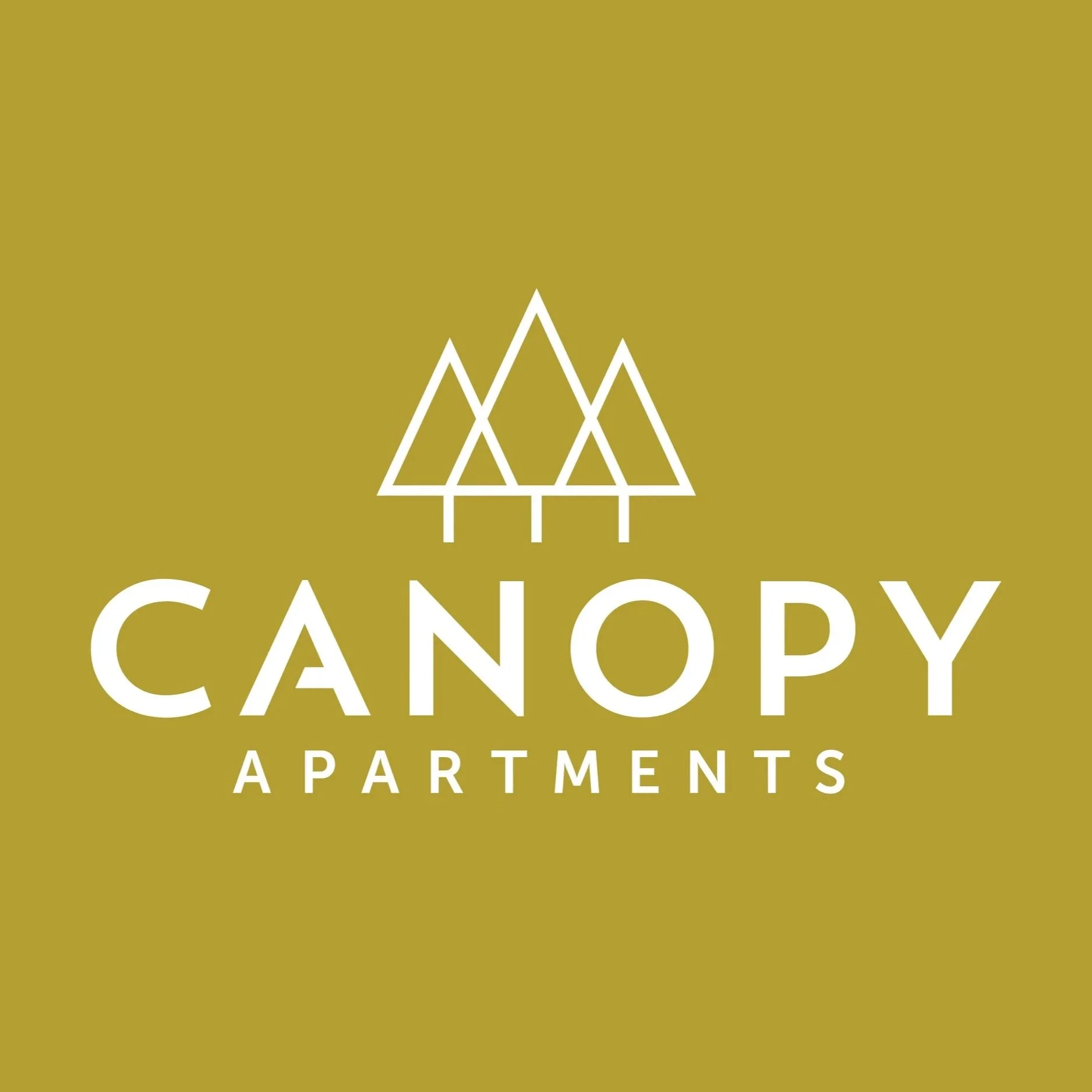 Canopy_4_3_b.jpg