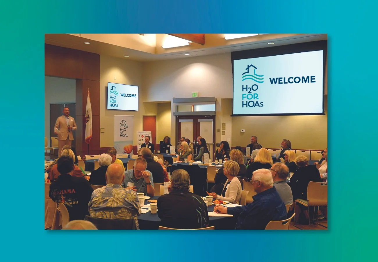 H2O for portfolio-04.jpg