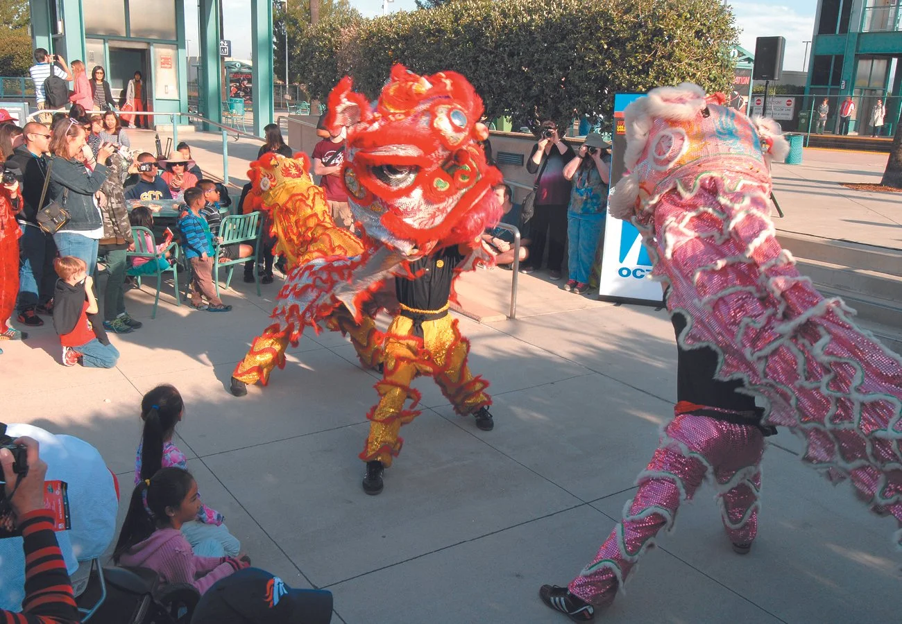 Lunar New Year_Portfolio6.jpg