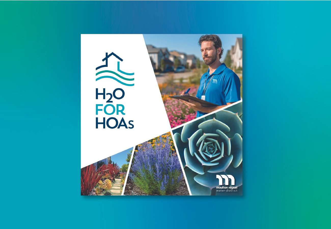 H2O for portfolio-01.jpg