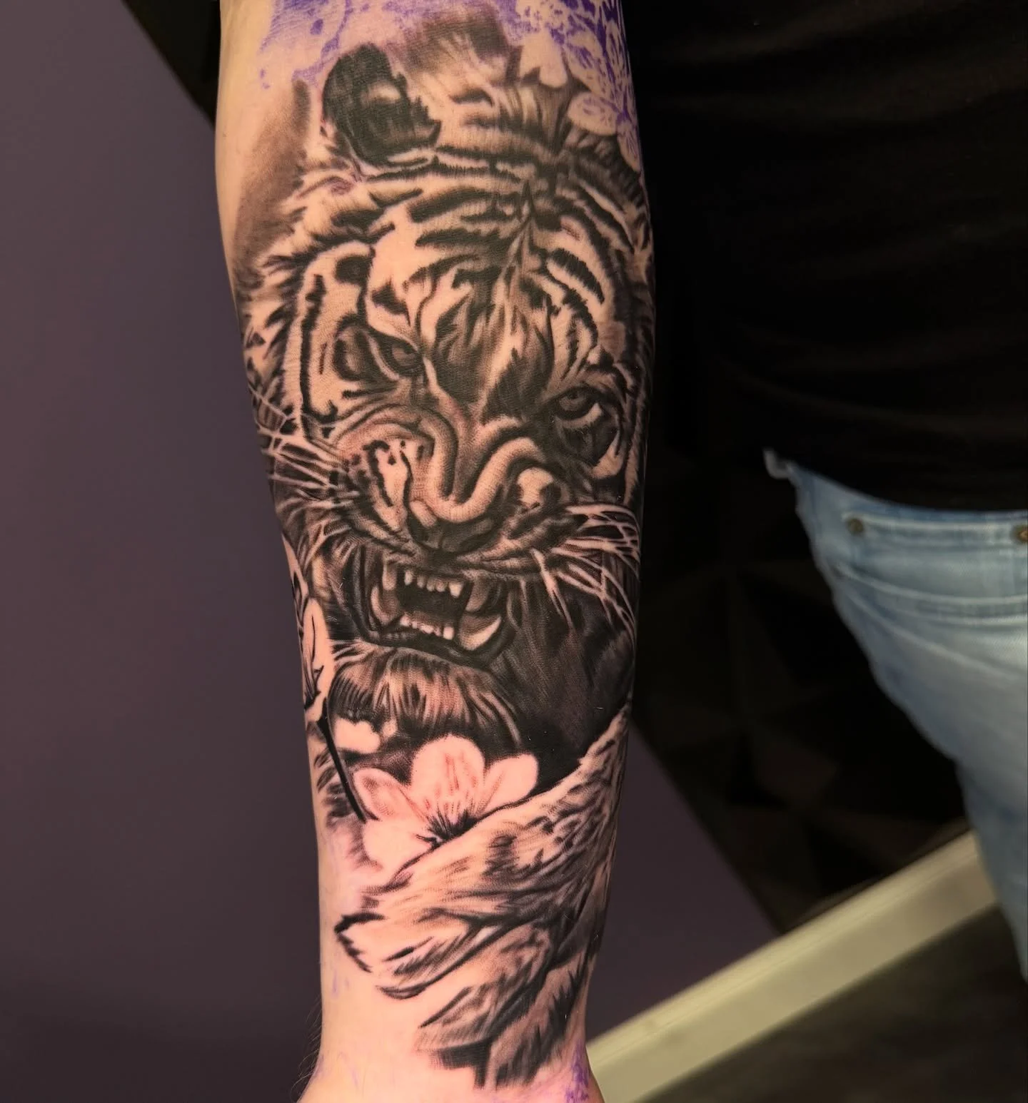 A start to a fun sleeve project 🐯