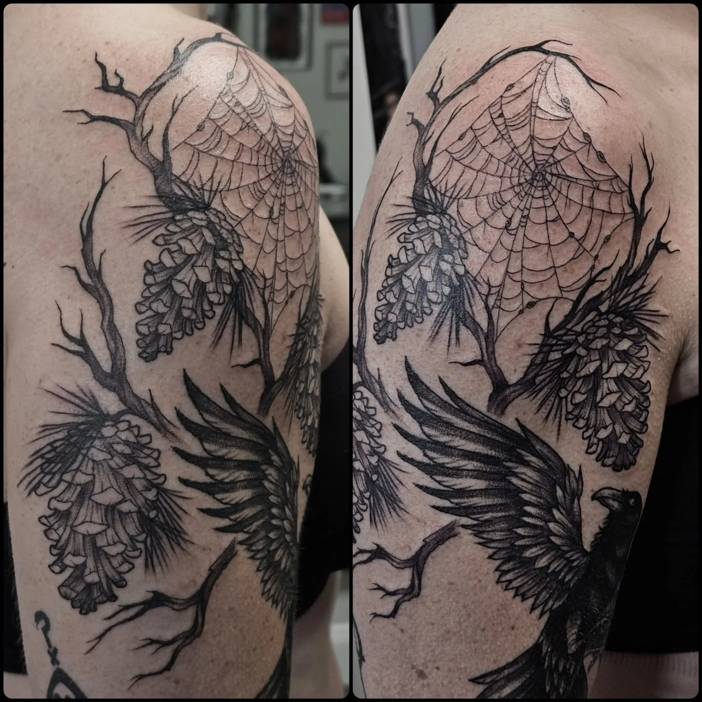 Some freehand addition to a healed raven I did 🕸🐦&zwj;⬛ swipe to see the marker!

#artistsoninstagram #art #tattoo #tattooartist #tattoooftheday #blackandgreyattoo #pinecone #spiderweb #raven