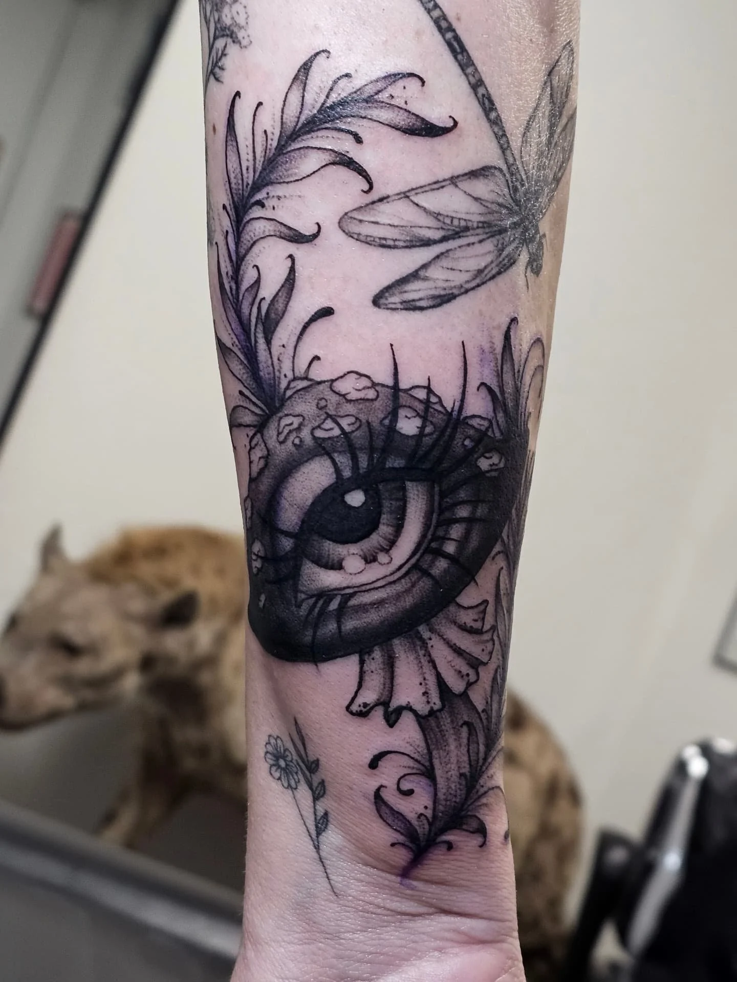 Freehand eye mushie 👁🍄🖤 (Ignore the leftover marker)

#artistsoninstagram #art #tattoo #tattooartist #tattoooftheday #blackandgreytattoo #darktattoo #freehand #mushroom #mushroomtattoo #eye