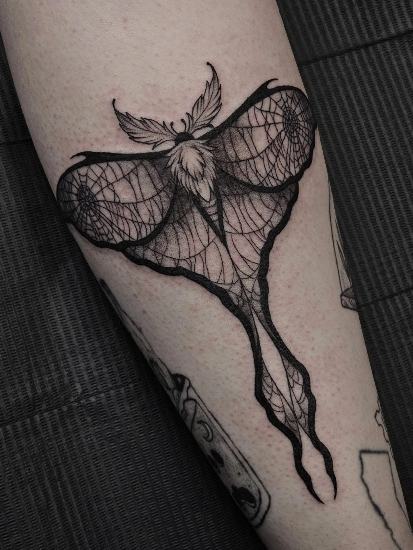 Spiderweb moth from my flash 🕸🦋🖤

#artistsoninstagram #art #tattoo #tattooartist #tattoooftheday #blackandgreytattoo #darktattoo #moth #mothtattoo #lunamoth #spiderweb