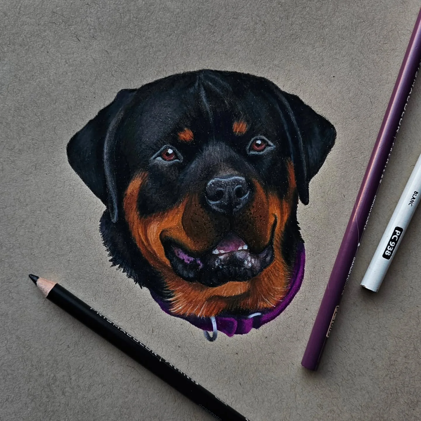 Balie 💜
Prisma colored pencils on toned paper ✏️

#art #dogsofinstagram #prismacolor #coloredpencils #dogportrait