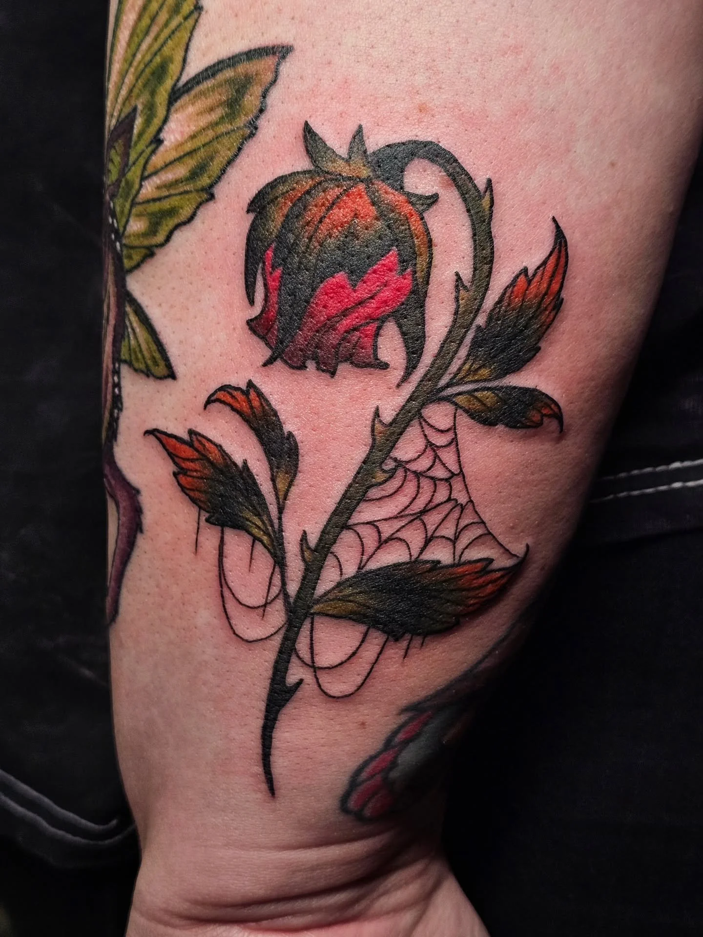 🥀🕸

#tattoo #tattooartist #valentines #rose #spiderweb