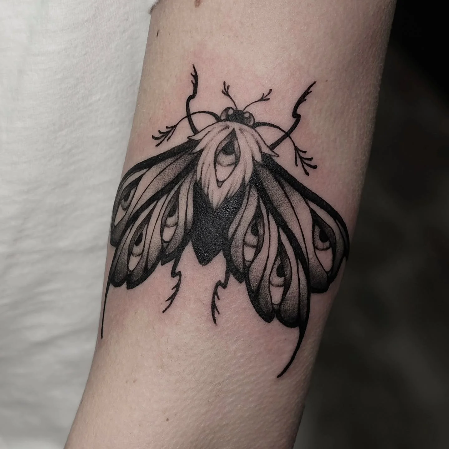 Fresh moth ✨️🦋 and healed Tomie 🖤

#tattoo #tattooartist #tattooart #moth #junjiito