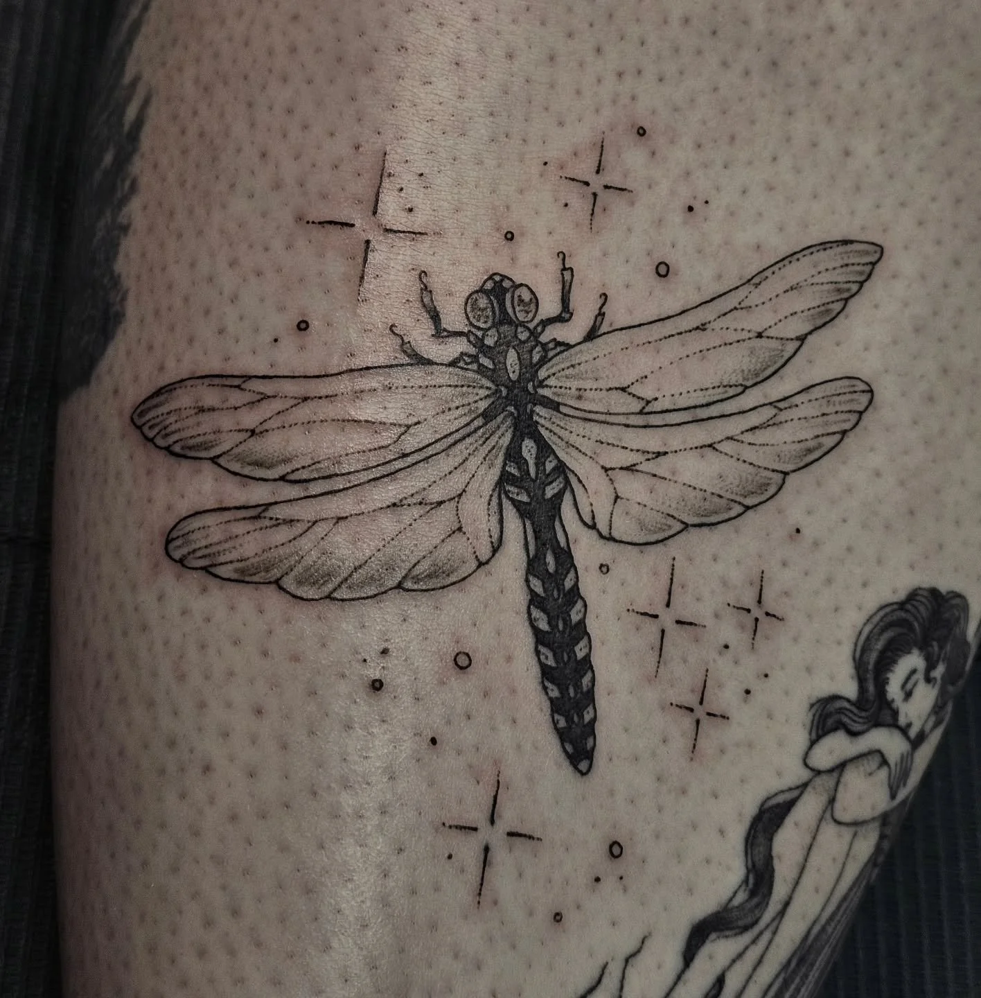 Dragonfly 🤍

#tattoo #tattooartist #tattooart #dragonfly #insect