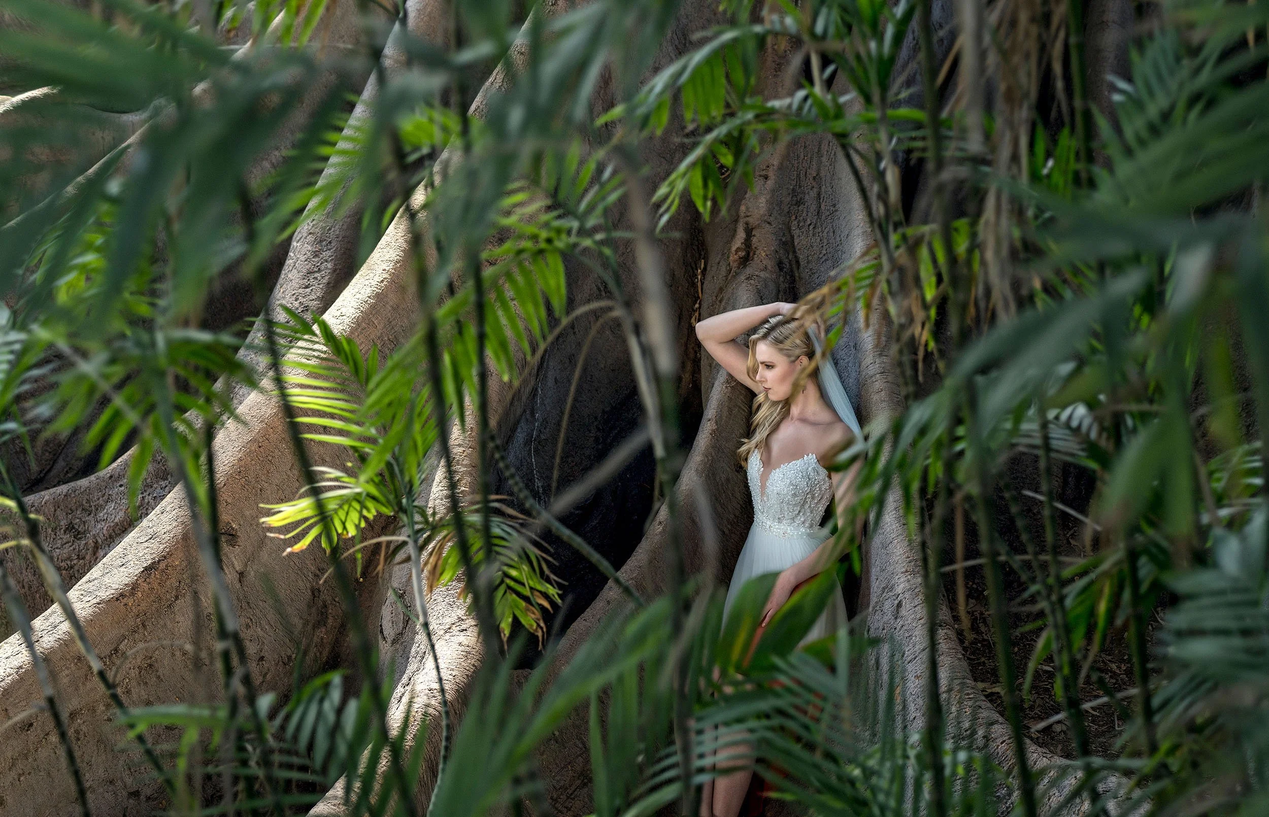 A bride in a white lace gown stands gracefully amidst the enormous, tangled roots of a banyan tree. Framed by lush green tropical foliage and palm leaves in the foreground, she rest one hand on her head and looks downward with a serene expression.