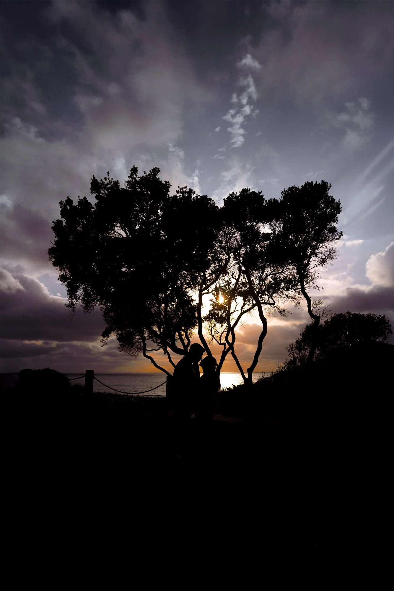A silhouette photograph of a couple embracing and kissing under the branches of a tree during sunset. The bright sun creates a warm glow behind the couple and the tree, against a sky filled with dark, dramatic clouds over the ocean.


