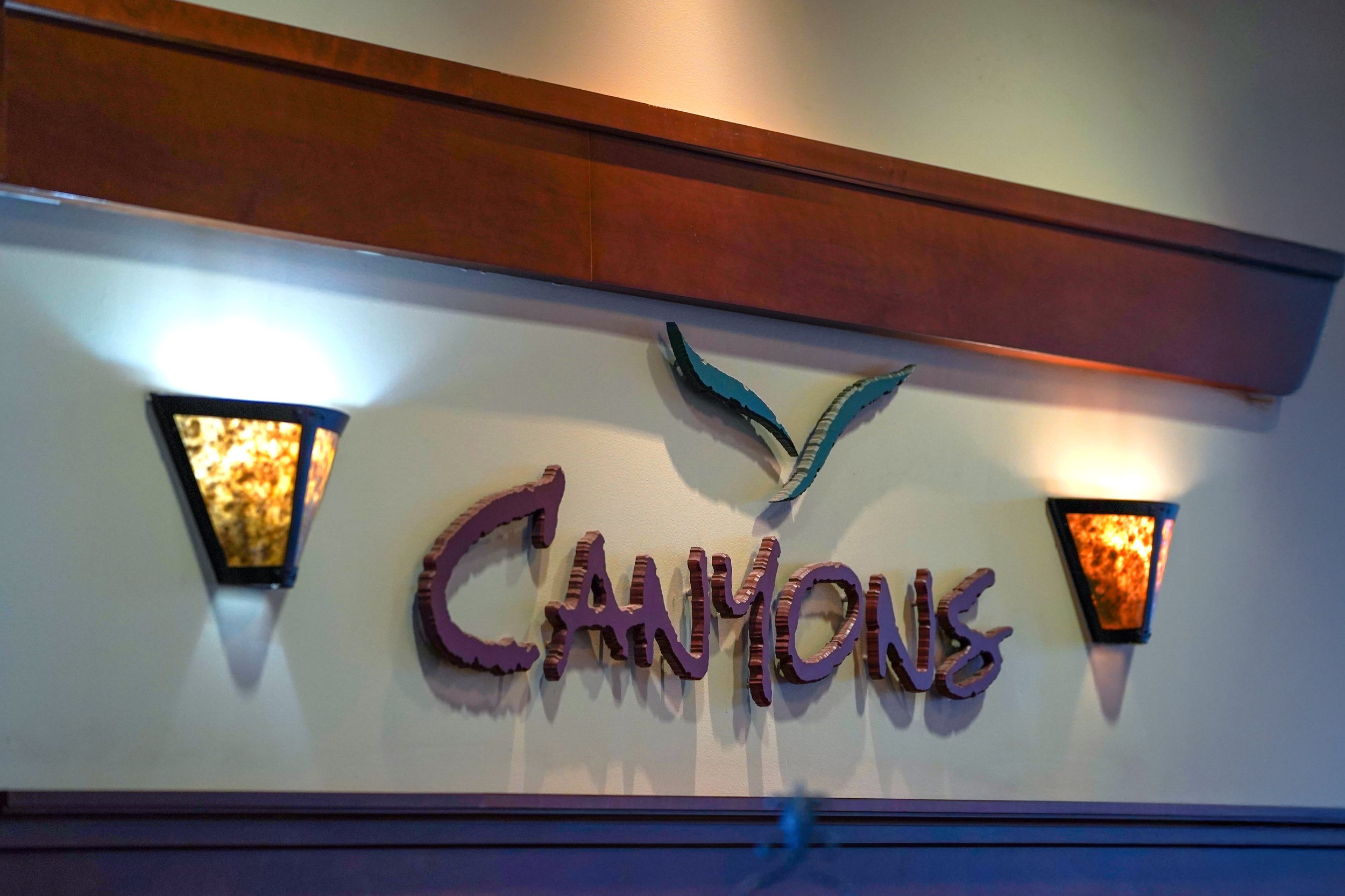 An indoor wall sign for "CANYONS" featuring stylized, dark purple/brown text and a green, abstract leaf logo above it, illuminated by two rustic-style wall sconces.