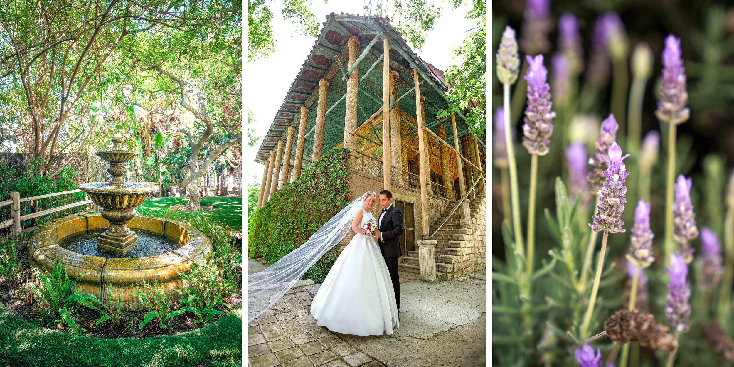 A three-panel image: a stone fountain in a lush garden, a bride and groom posing by a building with vertical gardens, and a close-up of purple lavender flowers.