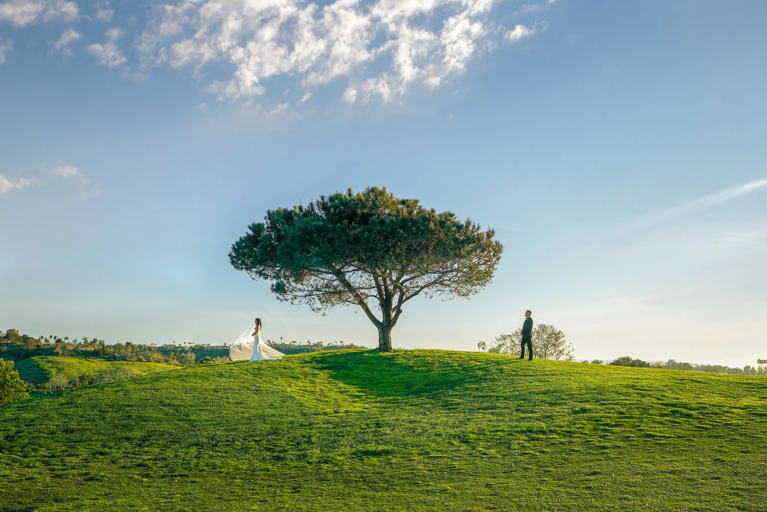 bride-and-groom-on-grassy-hill-wedding-photo.jpg