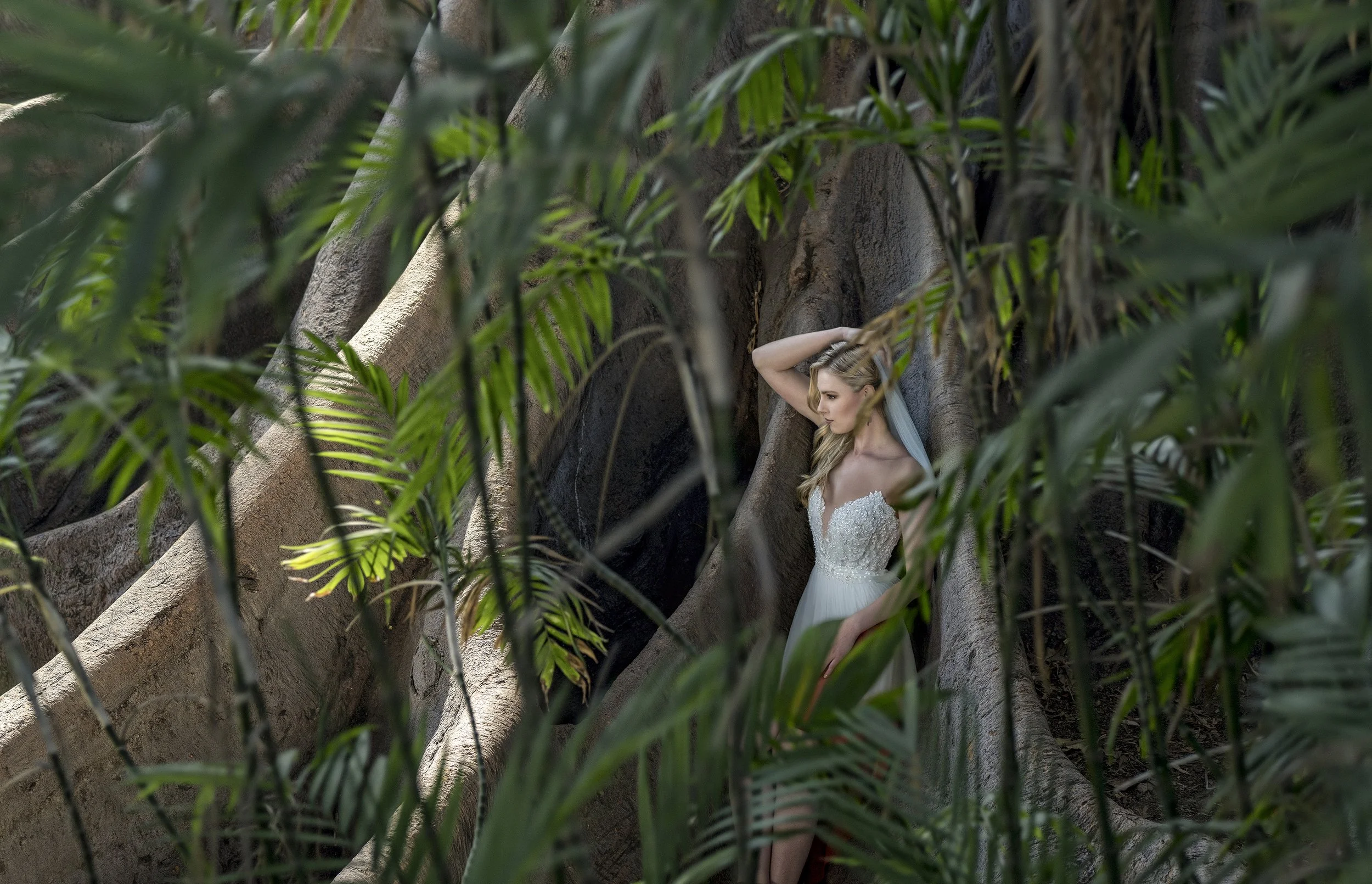 A bride wearing a white wedding dress poses against the large, textured trunk of a tree in a lush tropical forest setting in San Diego.
