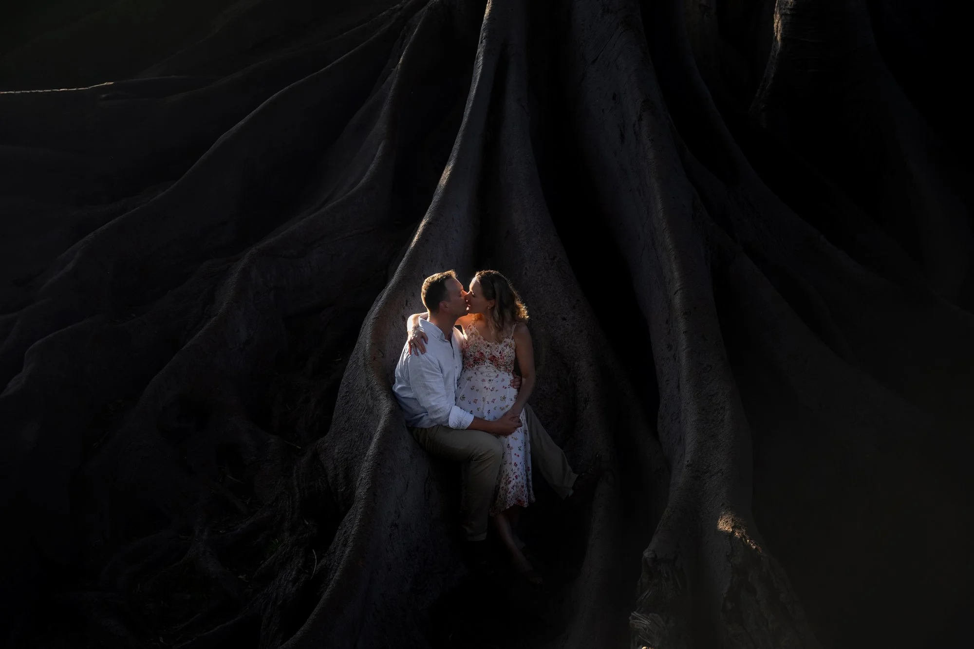 An outdoor photograph of a couple sitting within the large, dark, exposed roots of a massive tree, sharing a kiss. The man wears a white long-sleeved shirt and tan pants, and the woman wears a light-colored floral dress. The lighting highlights the c