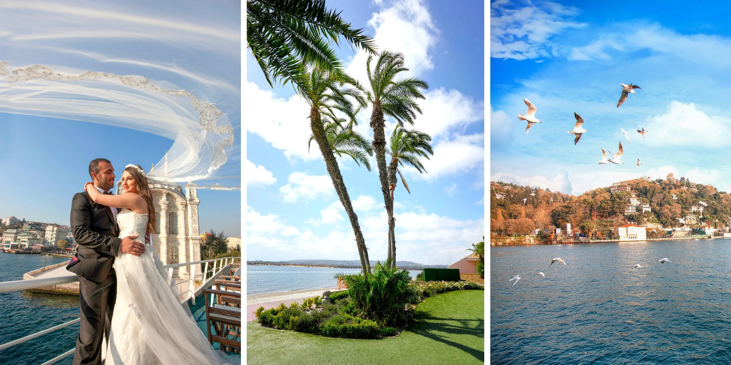 A three-panel image: a bride and groom embracing on a pier in Istanbul, palm trees next to a lagoon, and seagulls flying over the Bosphorus strait.