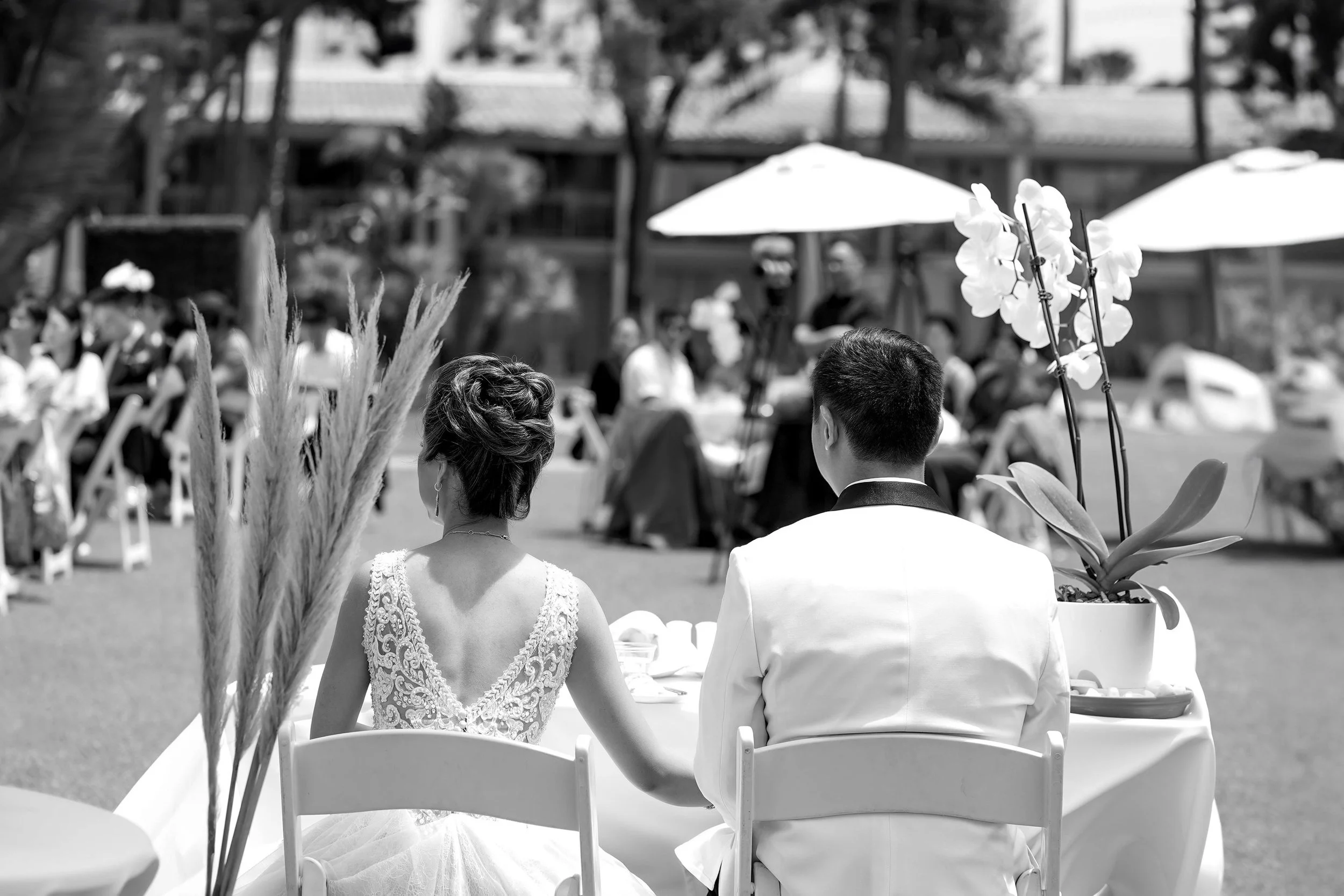 A black and white photograph from behind the bride and groom, seated at their sweetheart table during an outdoor wedding ceremony, featuring pampas grass decor in the foreground and white orchids on the table.