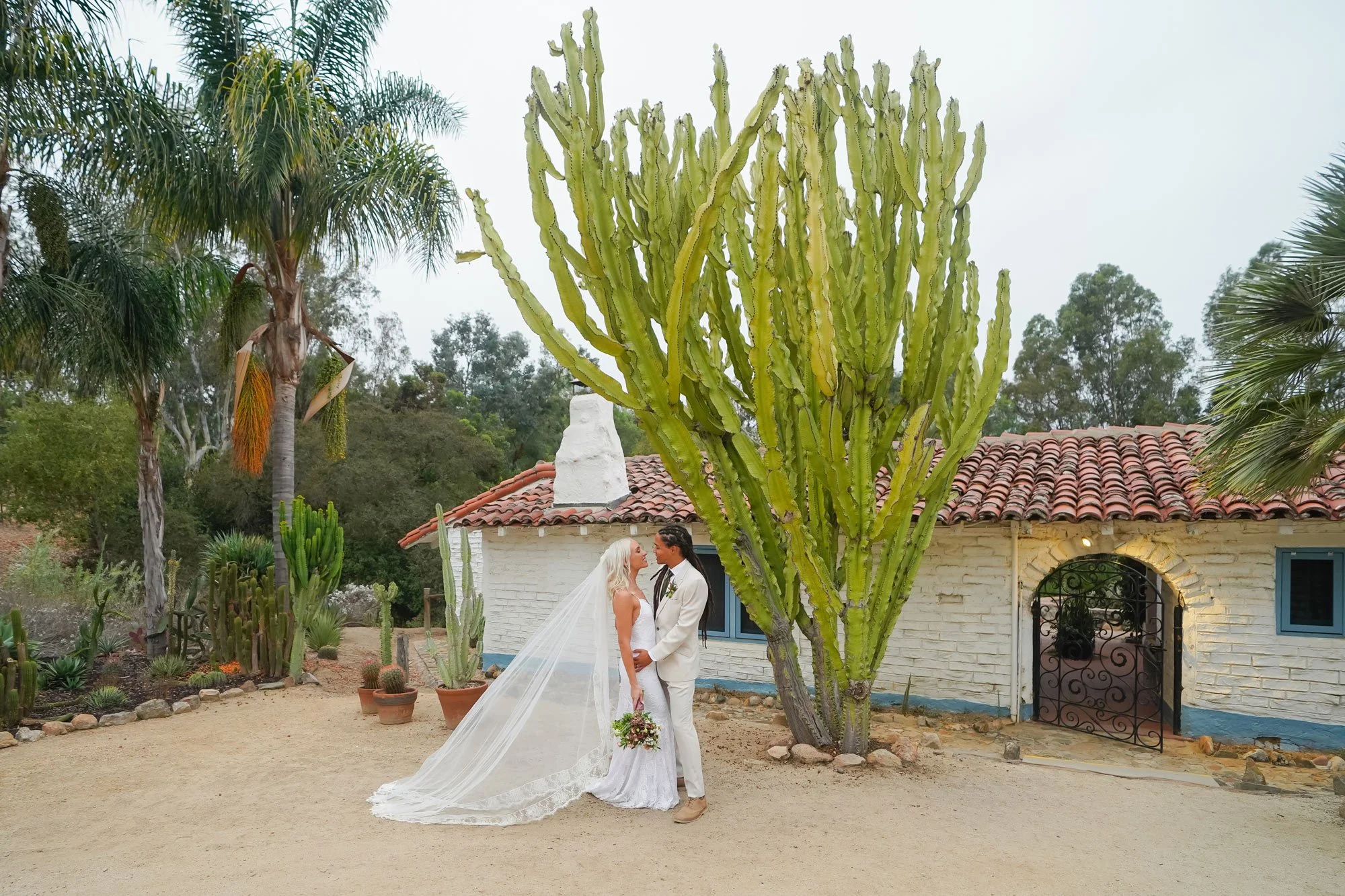 A photo of a newly married couple embracing and kissing on a dirt path in front of a white hacienda-style building with a terracotta tiled roof. The image features a very large, multi-branched cactus next to the couple and a tall palm tree on the lef