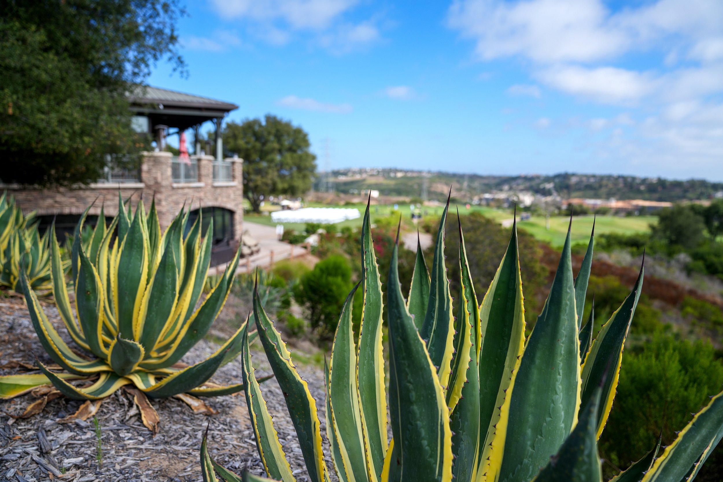 Scenic view from The Crossings at Carlsbad golf course in Carlsbad, California. 