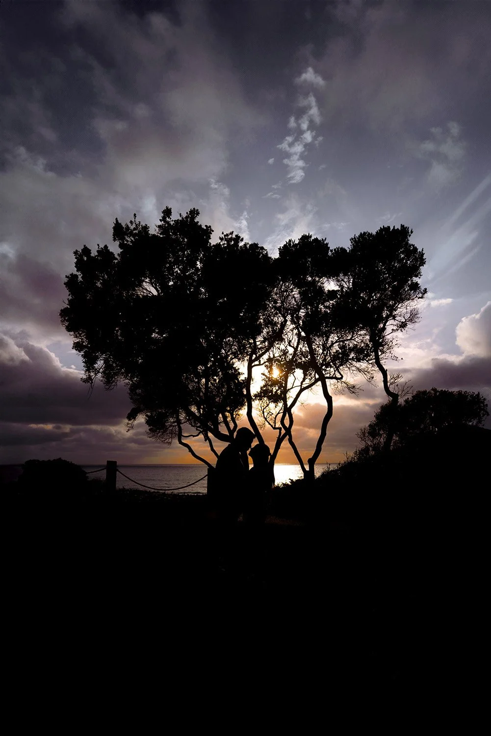 A silhouette photograph of a couple embracing and kissing under the branches of a tree during sunset. The bright sun creates a warm glow behind the couple and the tree, against a sky filled with dark, dramatic clouds over the ocean.